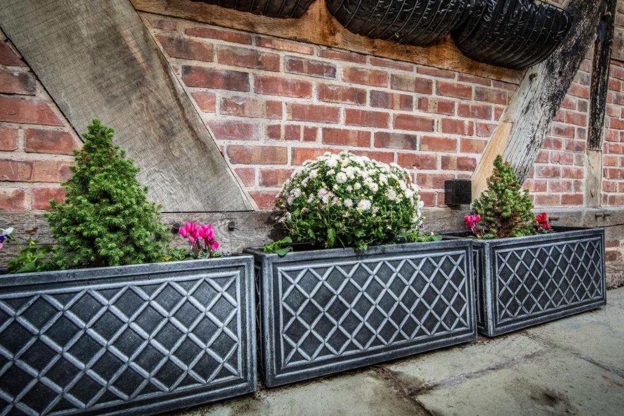 "Wesley House" Historic Home In Town Centre With Parking Shrewsbury Dış mekan fotoğraf